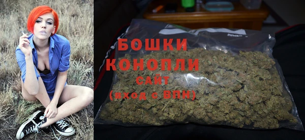 амф Магас