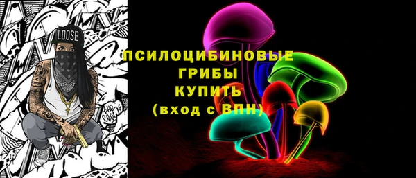 хмурый Абинск