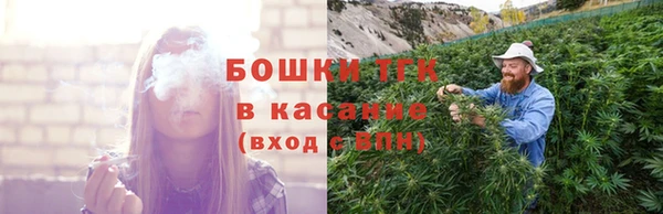 амф Магас